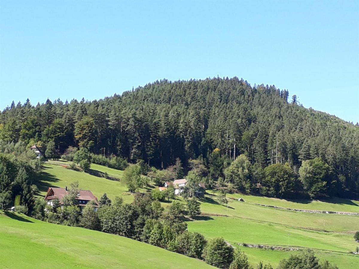 Isoldes Landhaus Baiersbronn Exteriör bild