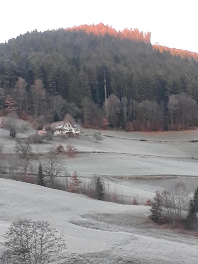 Isoldes Landhaus Baiersbronn Exteriör bild